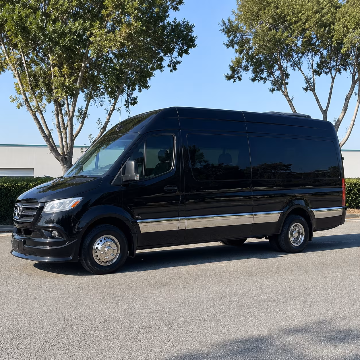 sprinter van and minibus rentals for executive travel in gilbert